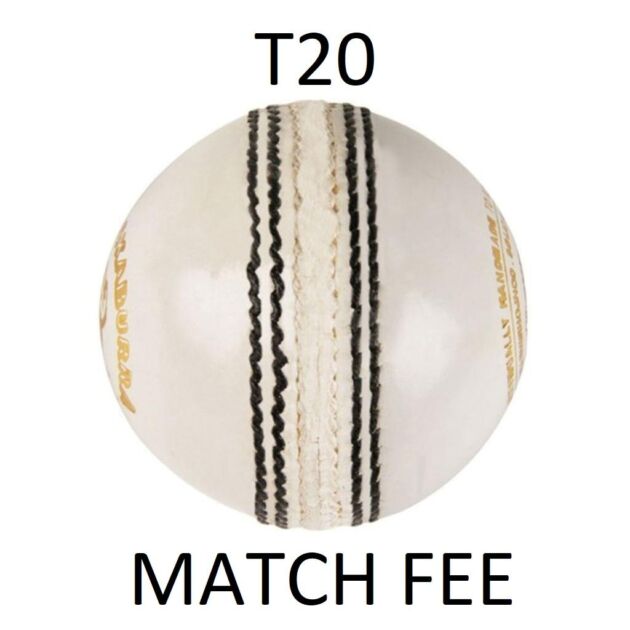 T20 Match Fee